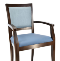 Milton SS Wood Arm Chair